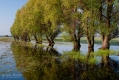 034_Biebrza - maj 2013